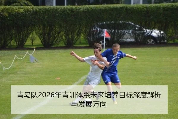 青岛队2026年青训体系未来培养目标深度解析与发展方向