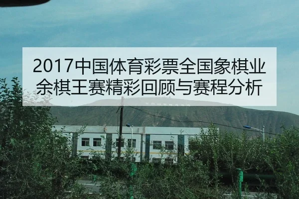 2017中国体育彩票全国象棋业余棋王赛精彩回顾与赛程分析